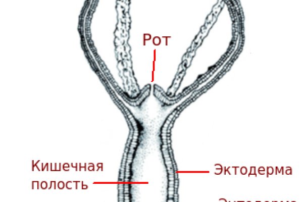 Кракен даркнет 2krnmarket