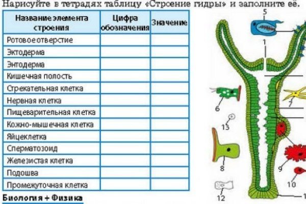 Как восстановить пароль на кракене