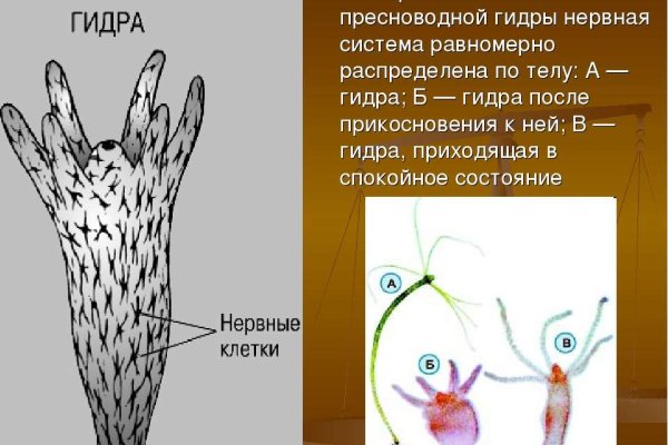 Kraken официальная ссылка