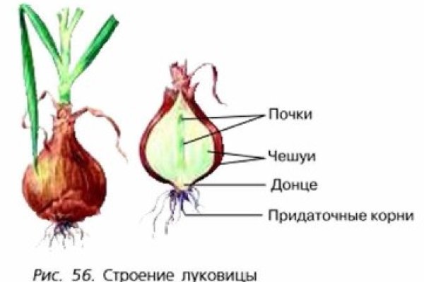 Ссылка на кракен в тор